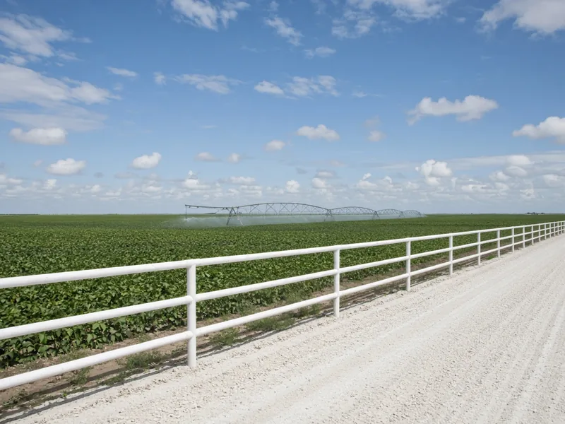White pipe fence along a caliche farm road beside irrigated cotton